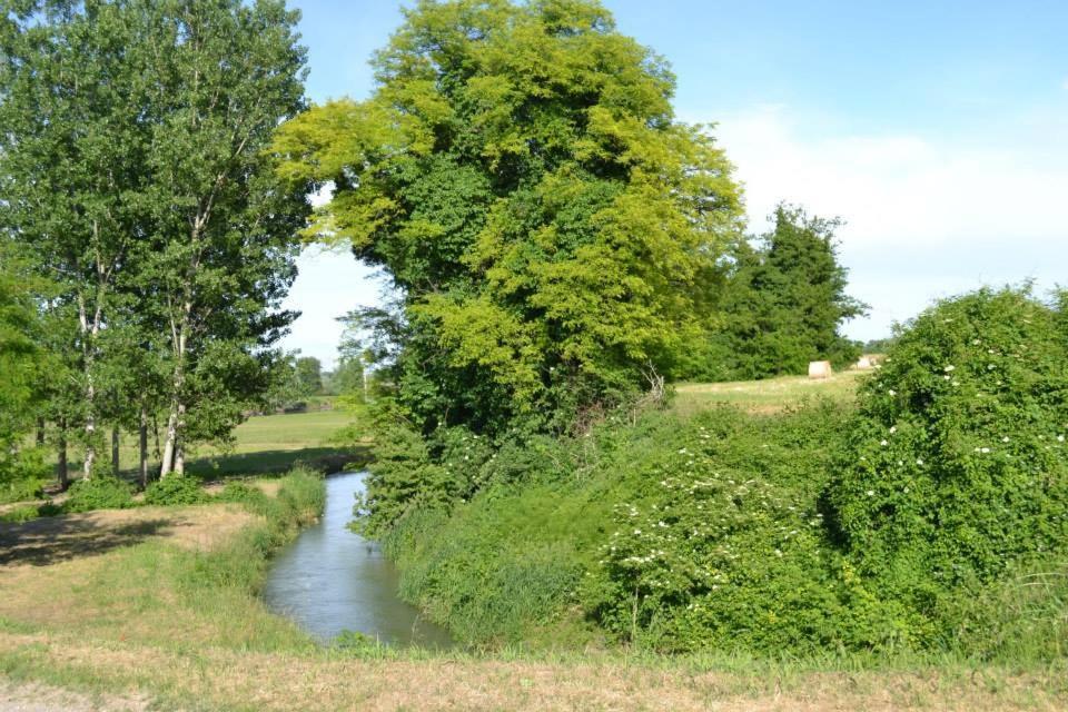 Agriturismo Il Campagnino Cremona Exteriér fotografie