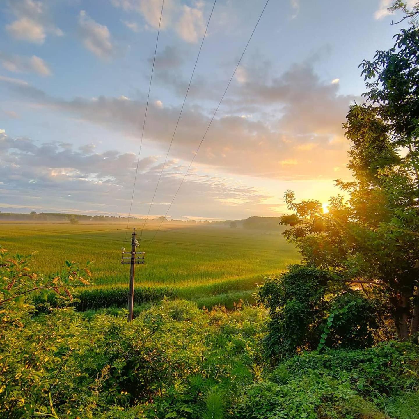 Agriturismo Il Campagnino Cremona Exteriér fotografie