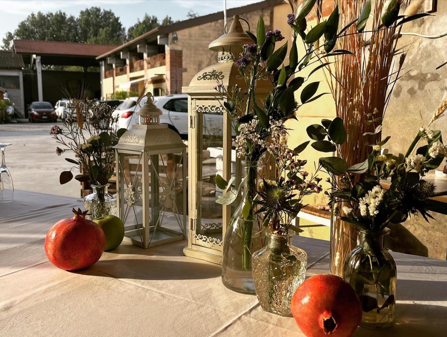 Agriturismo Il Campagnino Cremona Exteriér fotografie
